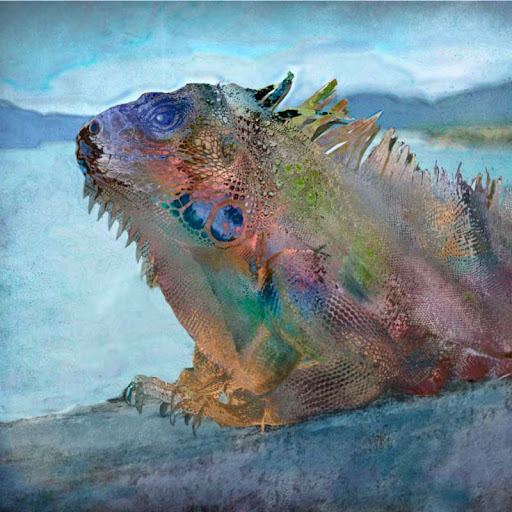 The "Iguana" piece from the "2012" collection