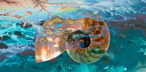 The "Nautilus Shell" piece from the "2011" collection